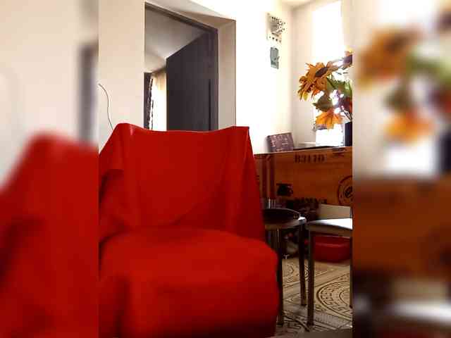 PanteraNeagra webcam