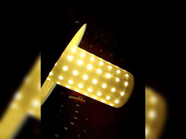 PanteraNeagra webcam