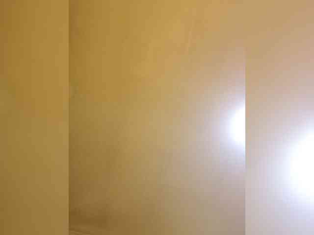 PanteraNeagra PanteraNeagra