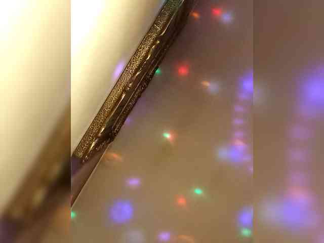 PanteraNeagra webcam