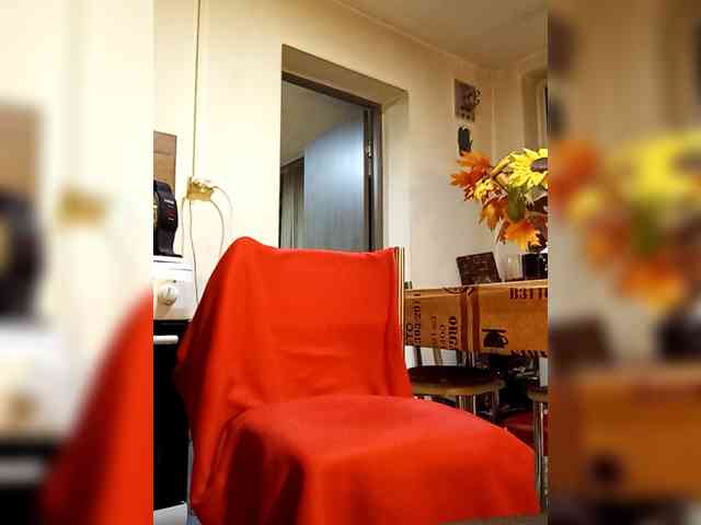 PanteraNeagra webcam