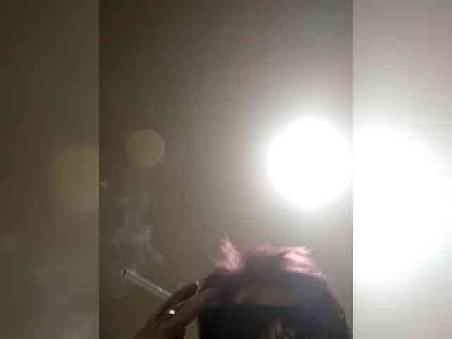 PanteraNeagra webcam