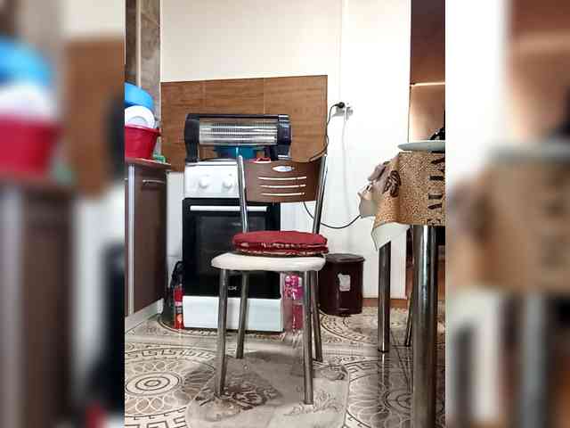 PanteraNeagra webcam