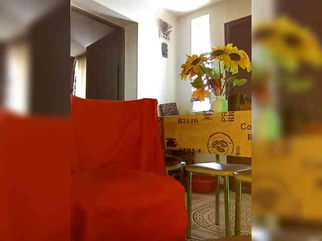 PanteraNeagra webcam