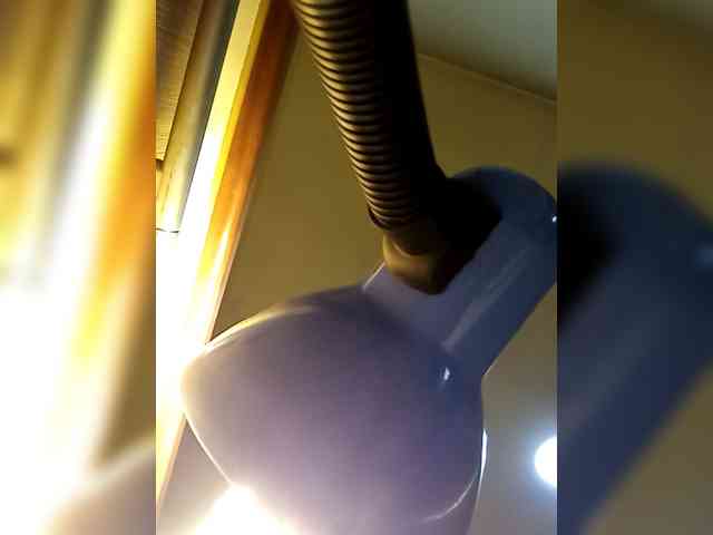 PanteraNeagra webcam