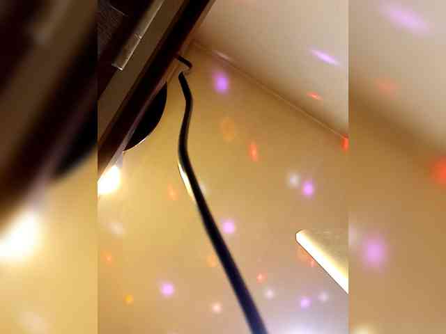 PanteraNeagra webcam