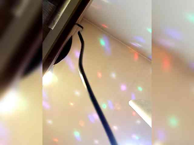 PanteraNeagra webcam