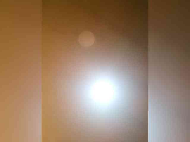 PanteraNeagra webcam