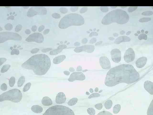 Scarlet-Delux07 webcam