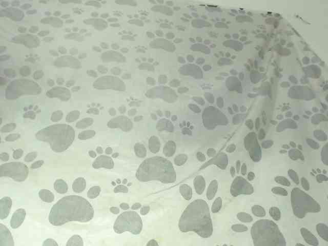 Scarlet-Delux07 webcam