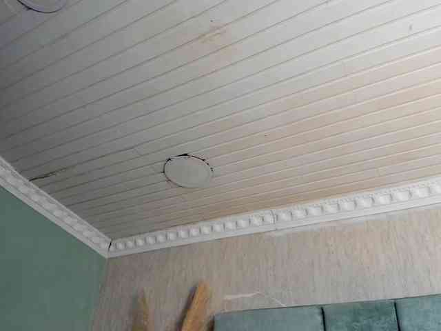CloheBell webcam