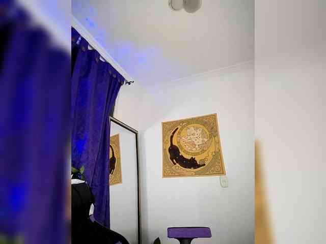 Lavenus webcam