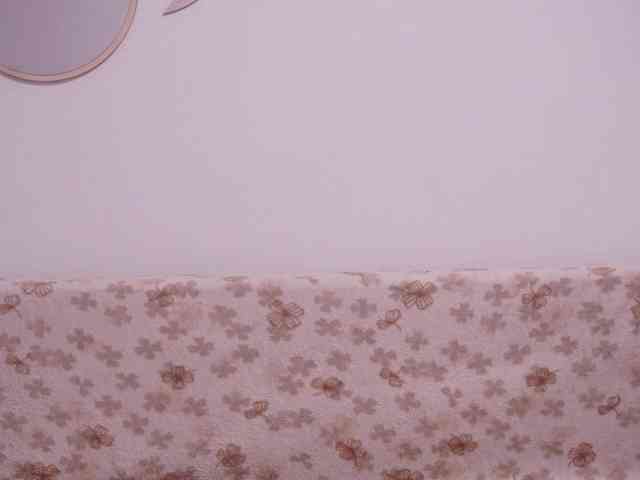 dahliacruzzz21 webcam