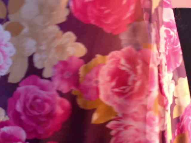 CheatingNeighborr webcam