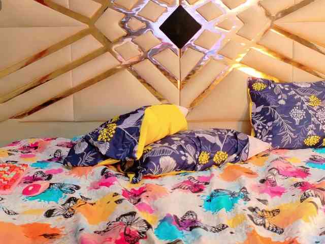 CheatingNeighborr CheatingNeighborr