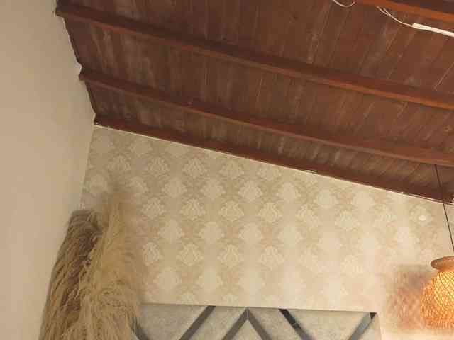 kimhilton- kimhilton-