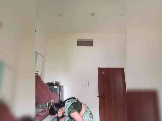 Alonevishu webcam