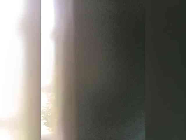 Alonevishu webcam