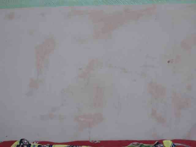 PatriciaBelle webcam