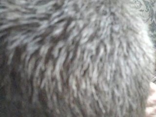 Anallovess Porn Show