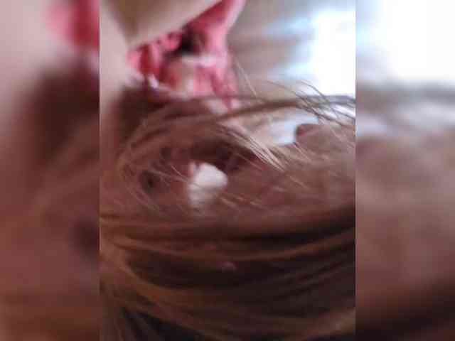Модель: Anallovess