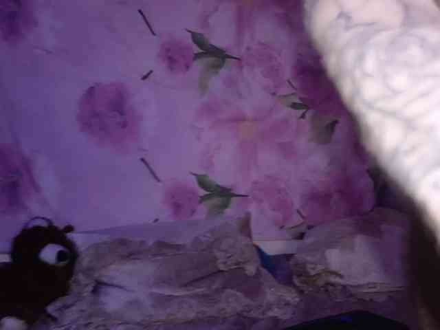 7733Alex7733