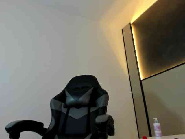 zoee-zi webcam