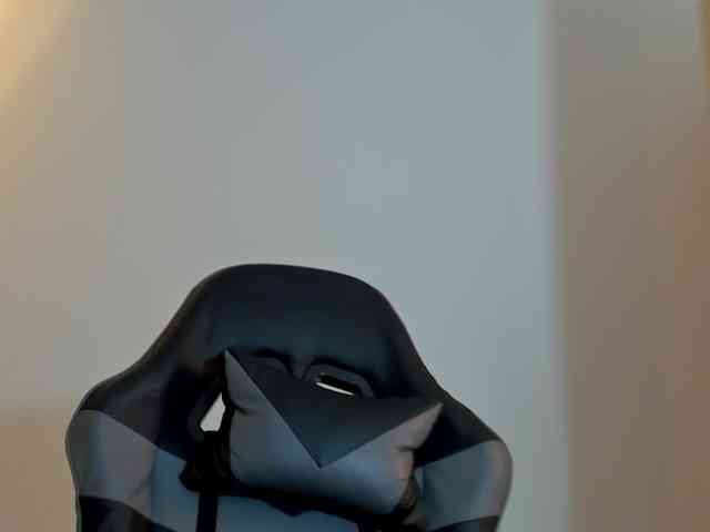 zoee-zi webcam