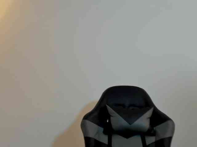 zoee-zi webcam
