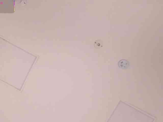 lyrabellini lyrabellini