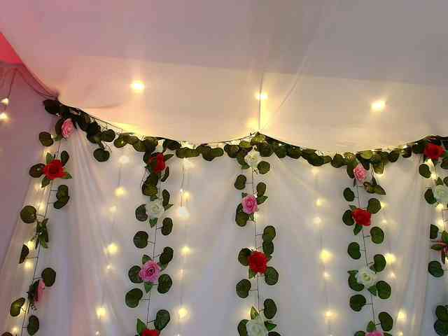 cutee-andrea1 cutee-andrea1