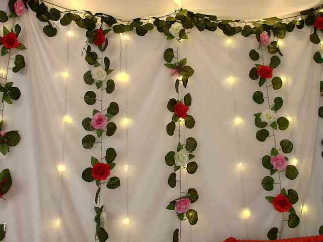 cutee-andrea1 webcam