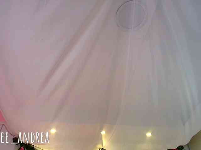 cutee-andrea1 cutee-andrea1