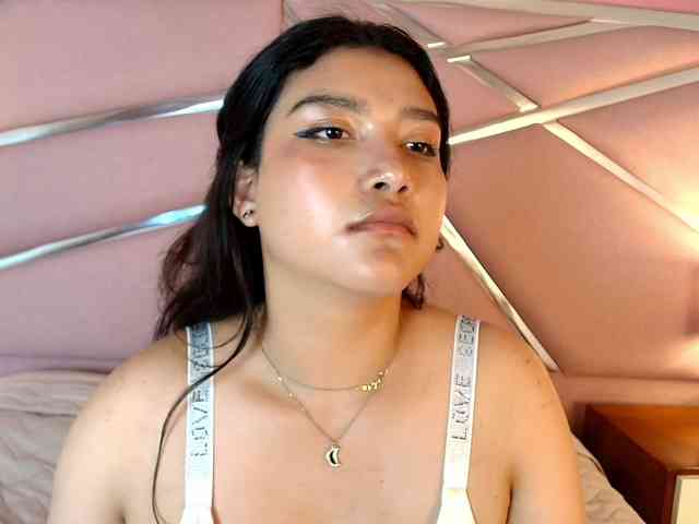 Sarayland webcam