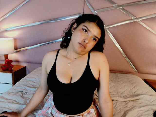 Sarayland webcam