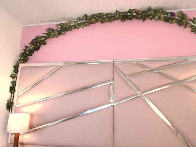 Sarayland webcam