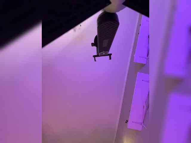 NightMint webcam