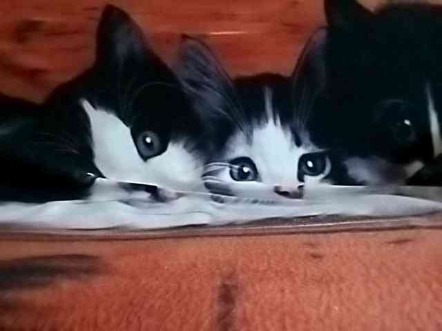 Dewrfi86980 Dewrfi86980