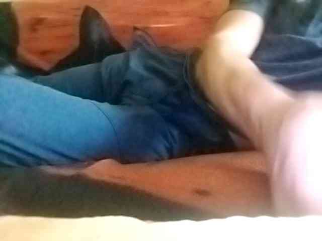 Dewrfi86980 Dewrfi86980