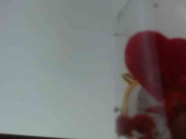 SofiMartinez webcam