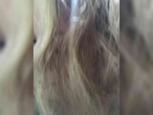 DianeHansen10 webcam