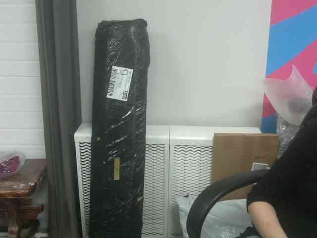 Darinac webcam