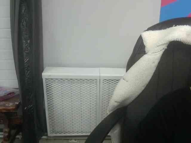 Darinac webcam