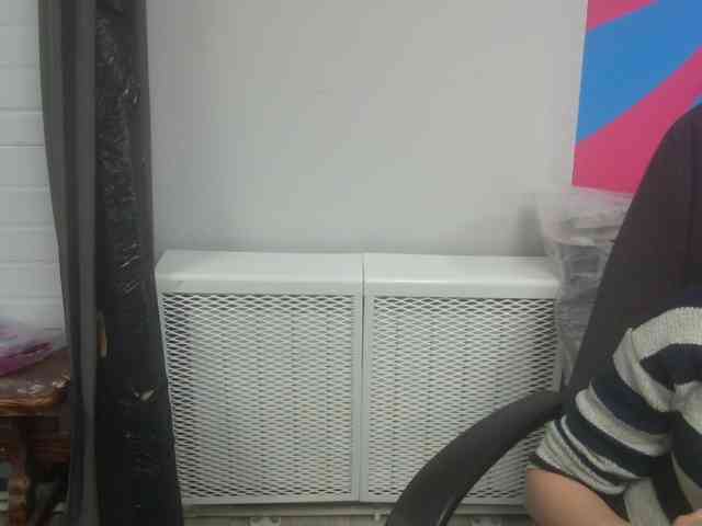 Darinac webcam