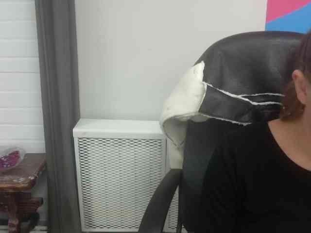 Darinac webcam