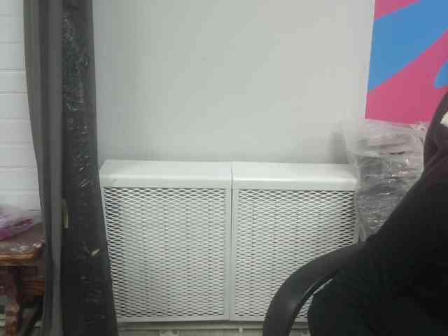 Darinac webcam