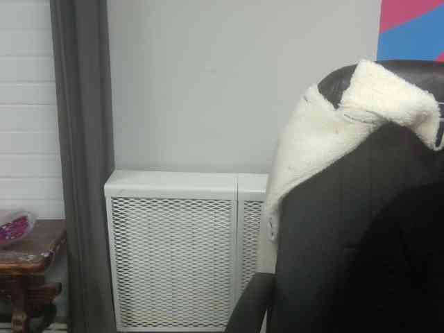 Darinac webcam