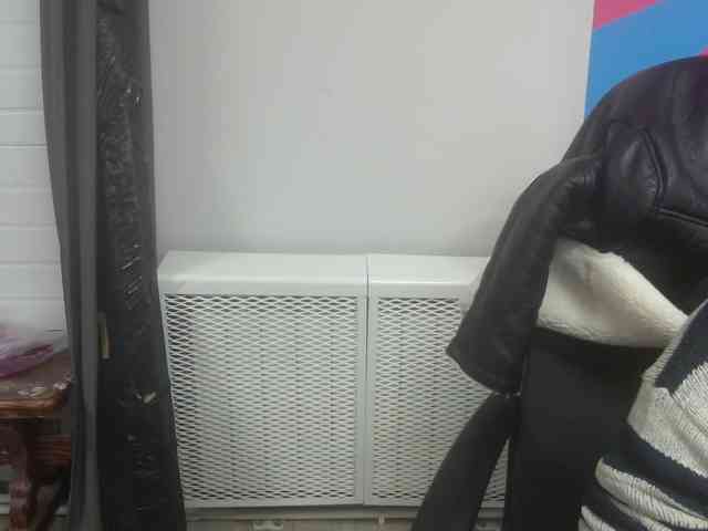 Darinac webcam