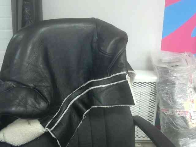 Darinac webcam