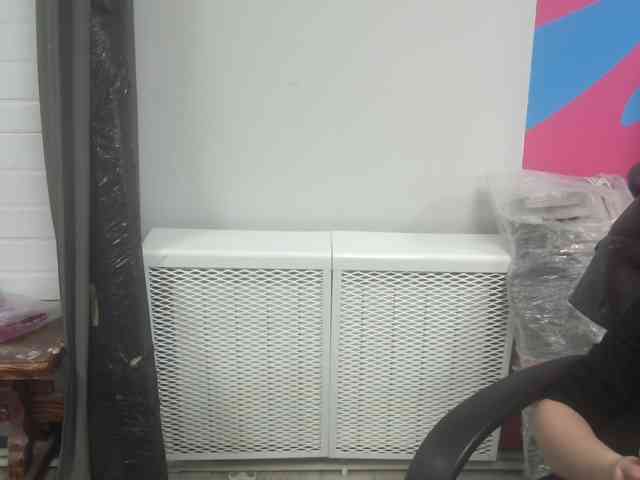 Darinac webcam